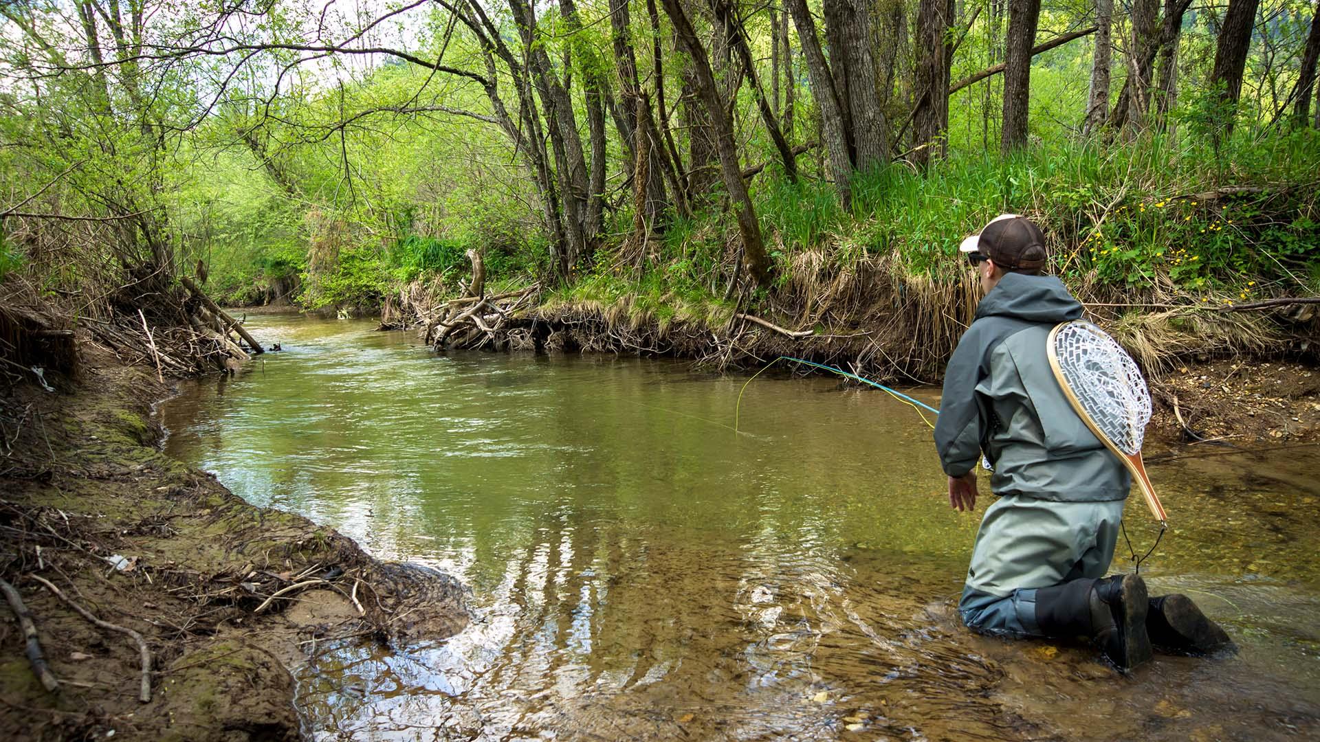 How to Buy a Used Fly Rod – Outfishers