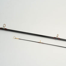 Load image into Gallery viewer, Orvis Trident PM 10 Plus 890-2 Fly Rod - 8wt 9ft 0in 2pc
